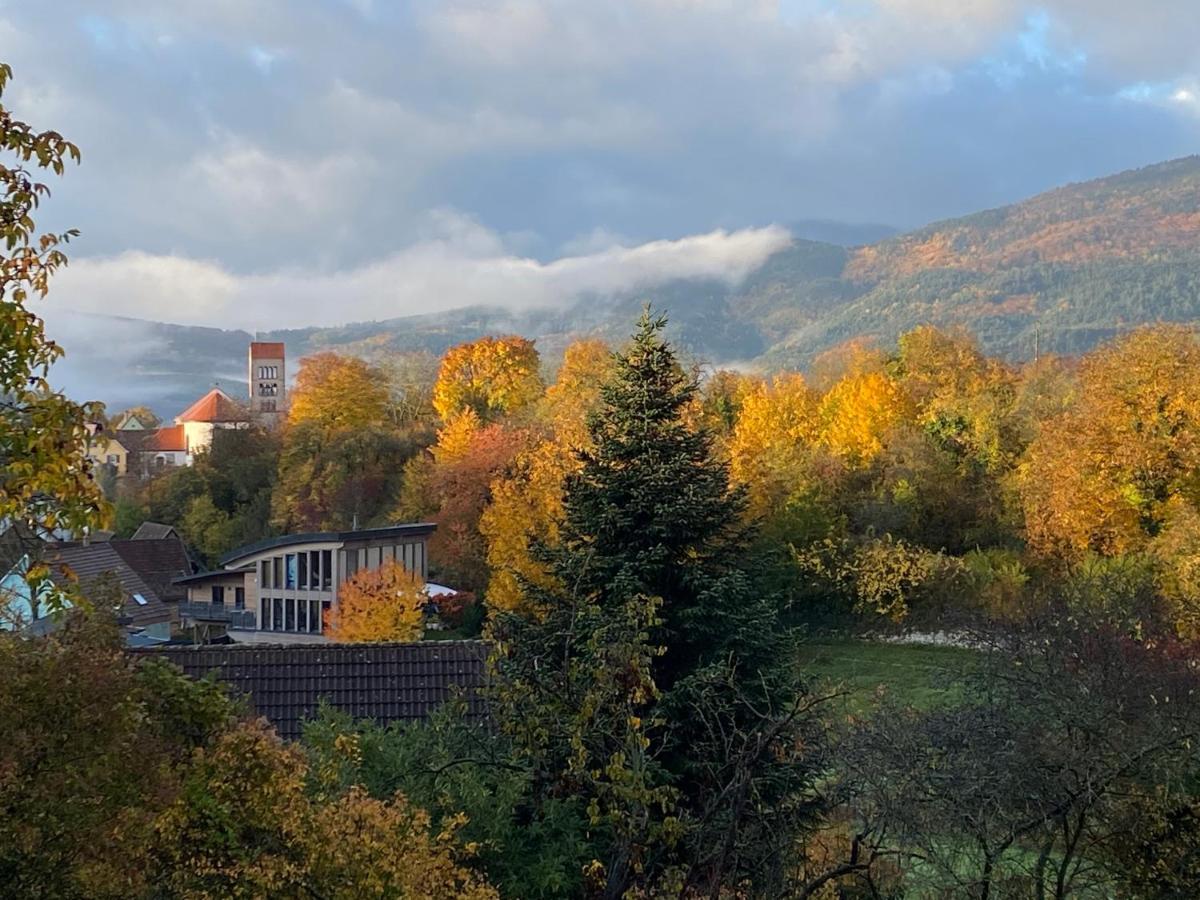 Le Moonloft Insolite Tiny-House Dans Les Arbres & 1 Seance De Sauna Pour 2 Avec Vue Panoramique Osenbach Exteriér fotografie