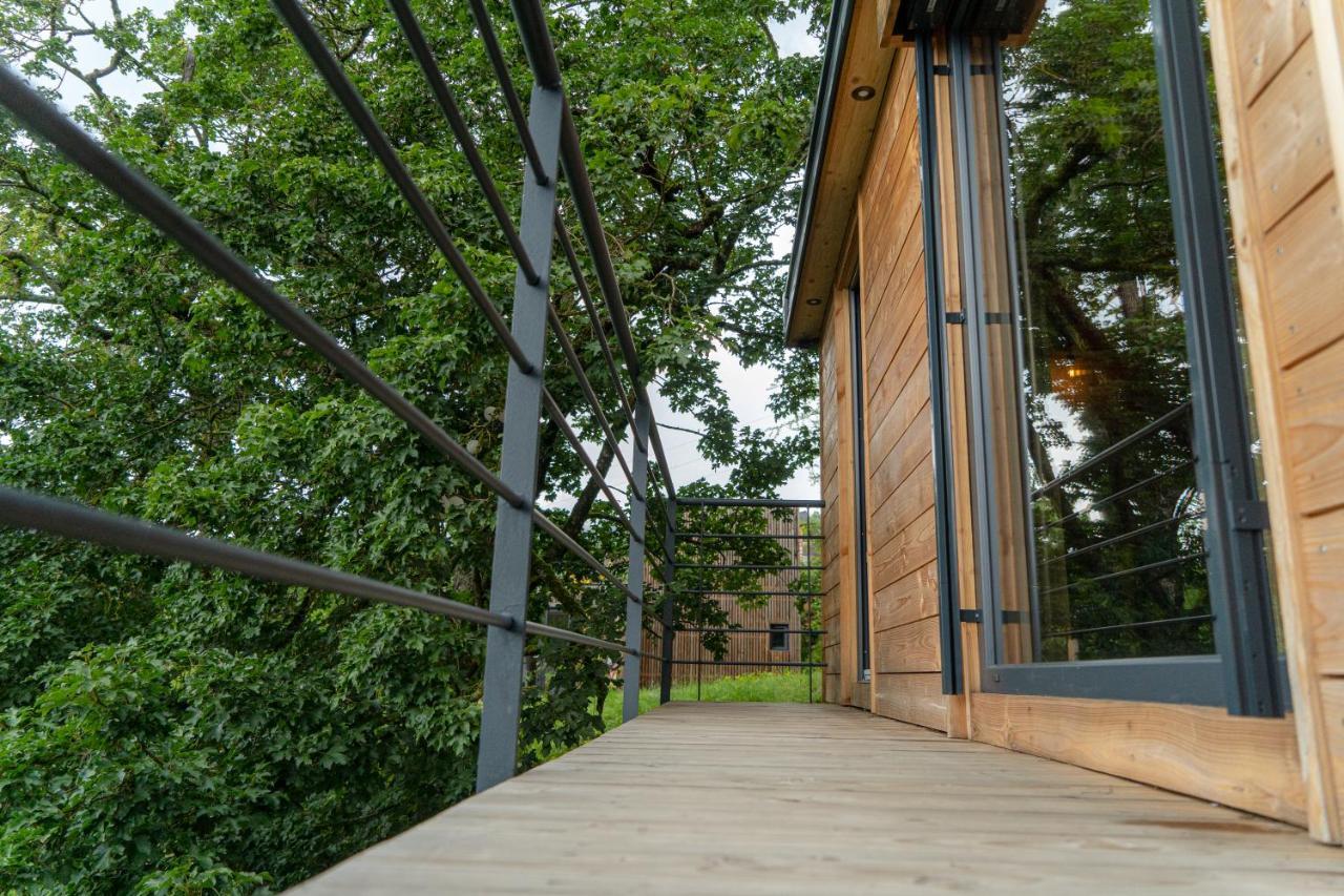 Le Moonloft Insolite Tiny-House Dans Les Arbres & 1 Seance De Sauna Pour 2 Avec Vue Panoramique Osenbach Exteriér fotografie